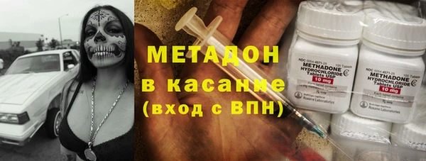 шишки Покачи