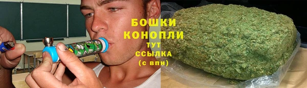 шишки Покачи