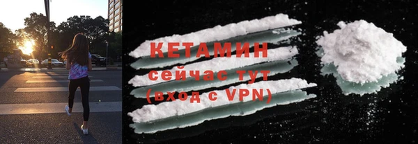 шишки Покачи