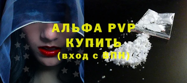 шишки Покачи