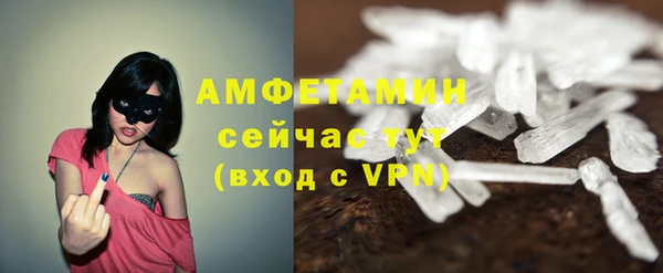 сатива Покров