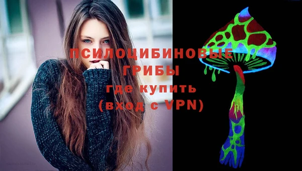 шишки Покачи