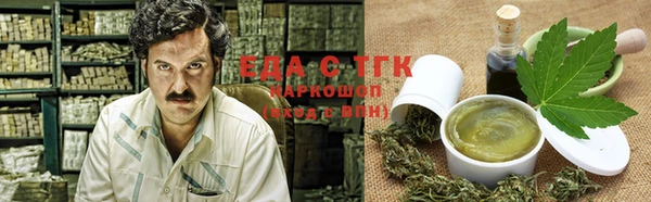 шишки Покачи