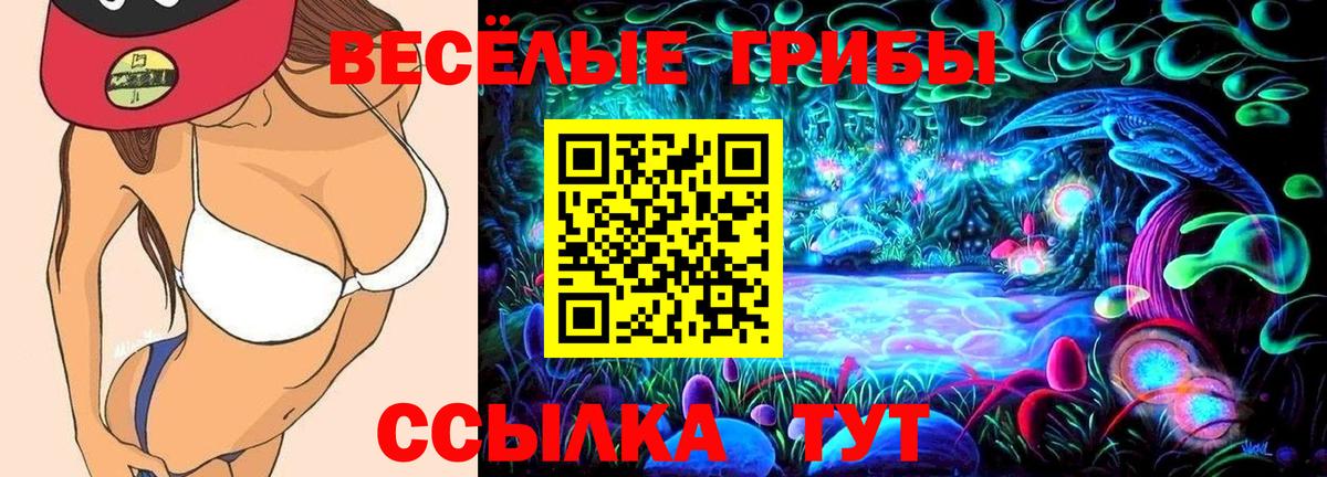 Астрахань  Галлюциногенные грибы Cubensis  Псилоцибиновые грибы мицелий  Вход с VPN 