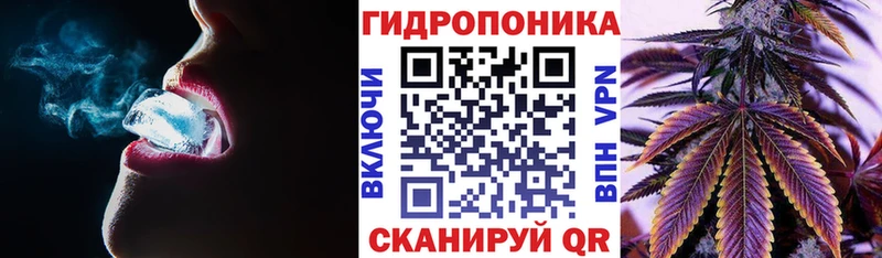 Конопля семена  Астрахань 