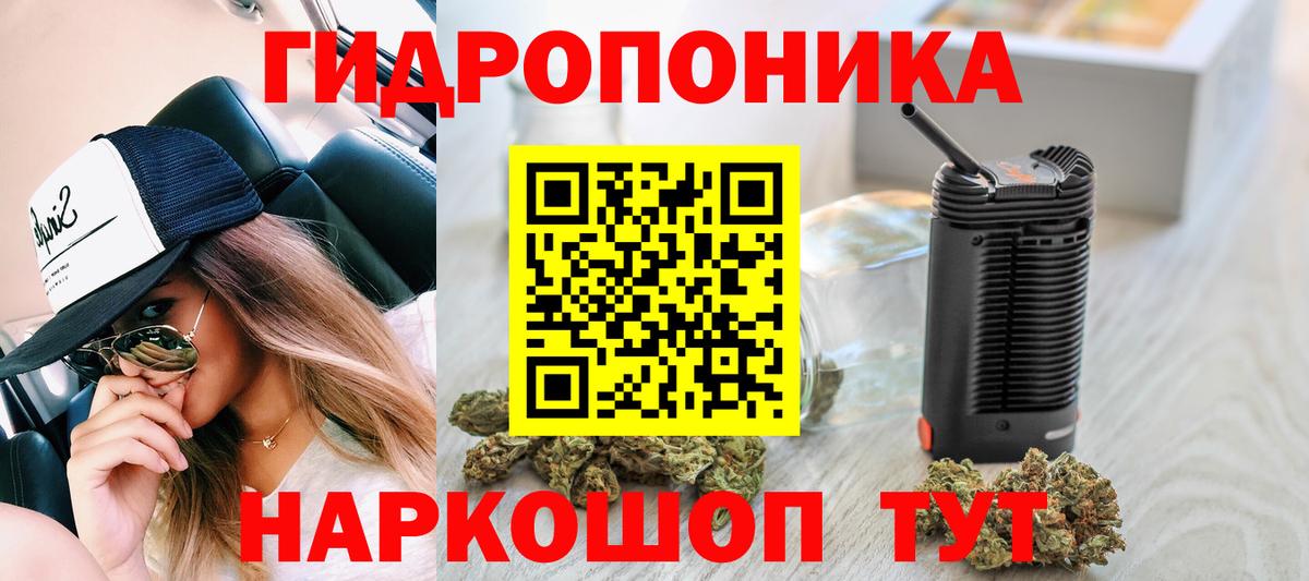 Канабис MAZAR  Вход с VPN  Астрахань  Бошки Шишки White Widow 